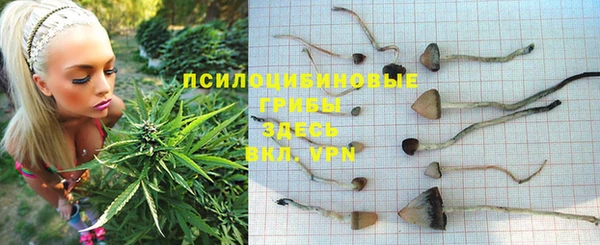 соль ск Алексин