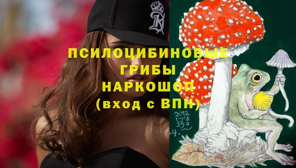прущая мука Абаза