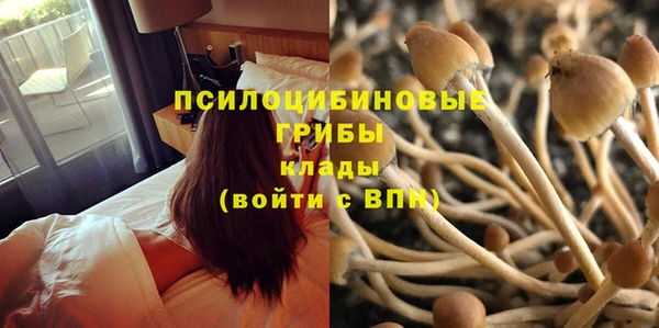 apvp Алексеевка