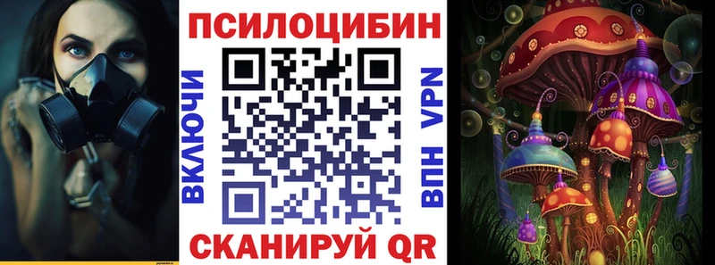 купить   Тутаев  Галлюциногенные грибы GOLDEN TEACHER 