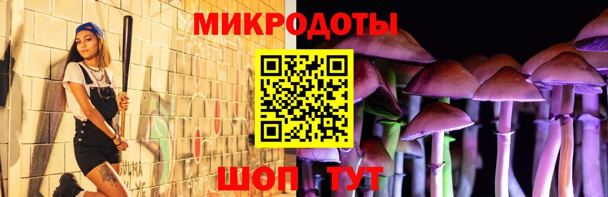 как найти наркотики  Вход с VPN  Тутаев  Галлюциногенные грибы мицелий 
